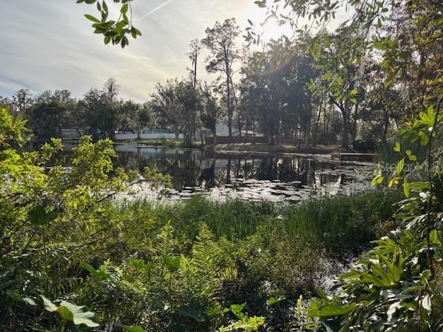 409 2ND AVE SE, LUTZ, FL, 33549