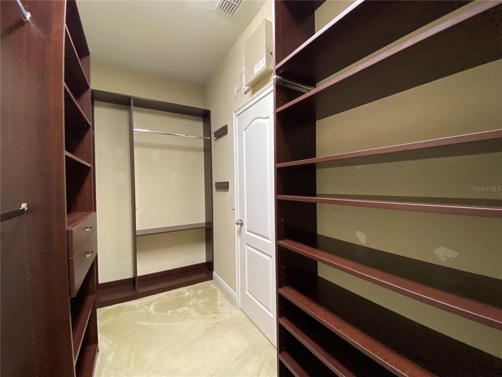 12844 WOODMERE CLOSE DR, WINDERMERE, FL, 34786