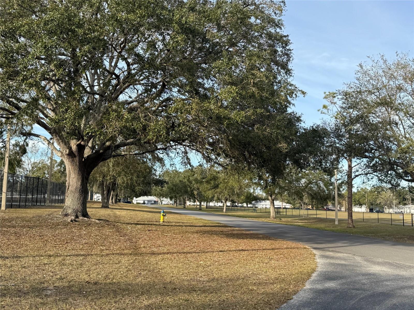 23315 CHARLSTON PL, LAND O LAKES, FL, 34639