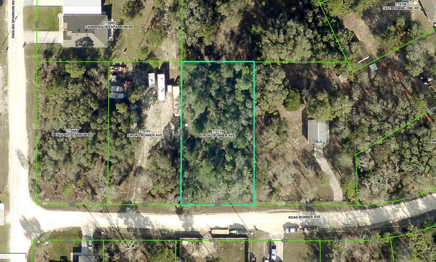 13197 ROAD RUNNER AVE, WEEKI WACHEE, FL, 34614