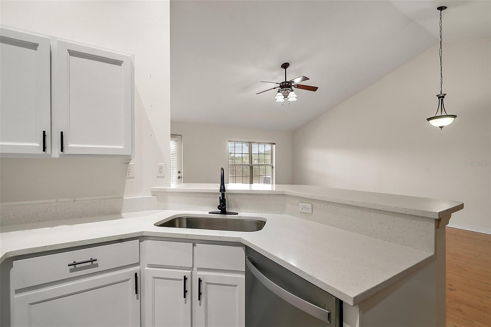 221 BROOKDALE LOOP, CLERMONT, FL, 34711