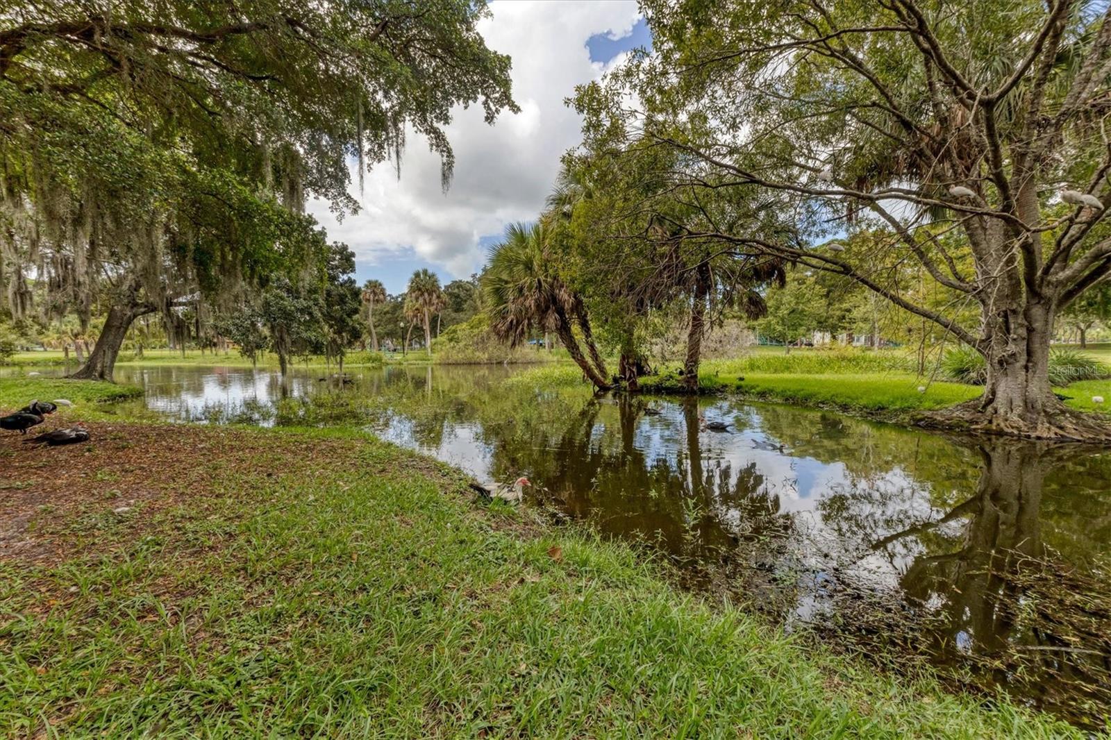 1738 7TH ST, SARASOTA, FL, 34236