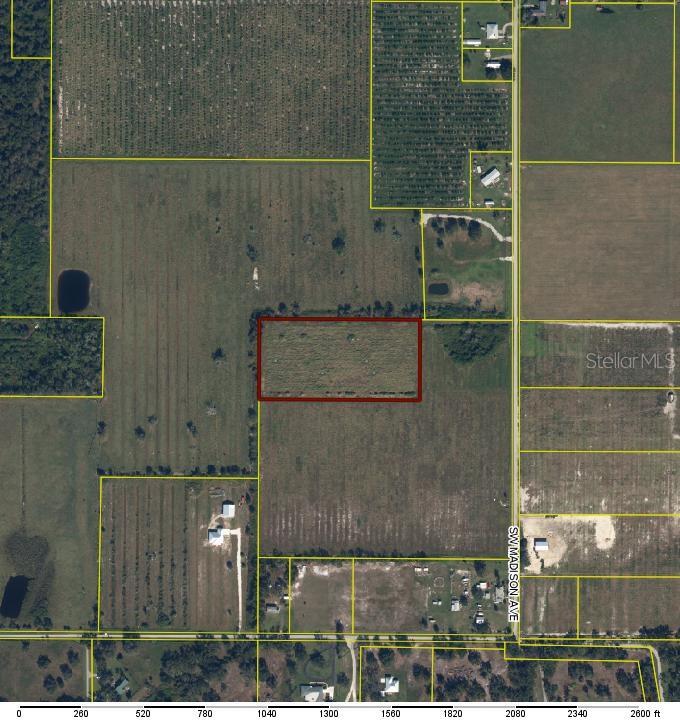 SW MADISON AVE, ARCADIA, FL, 34269
