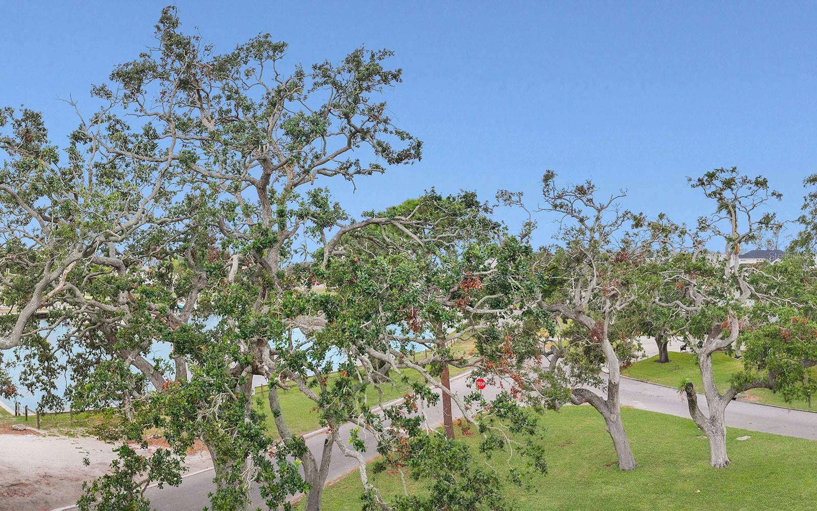 1201 ALCAZAR DR, BRADENTON, FL, 34209