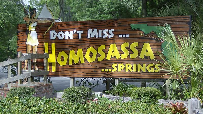 5900 W ALLSPICE PL, HOMOSASSA, FL, 34448