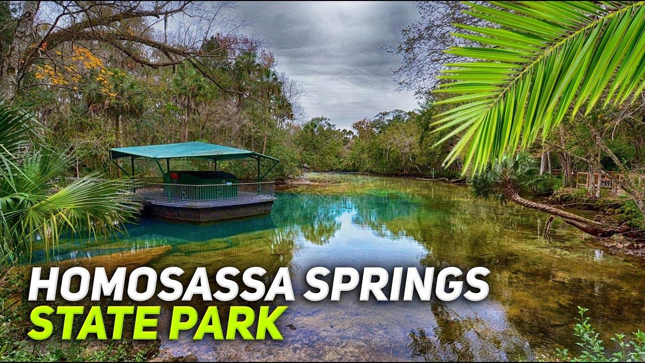 5900 W ALLSPICE PL, HOMOSASSA, FL, 34448