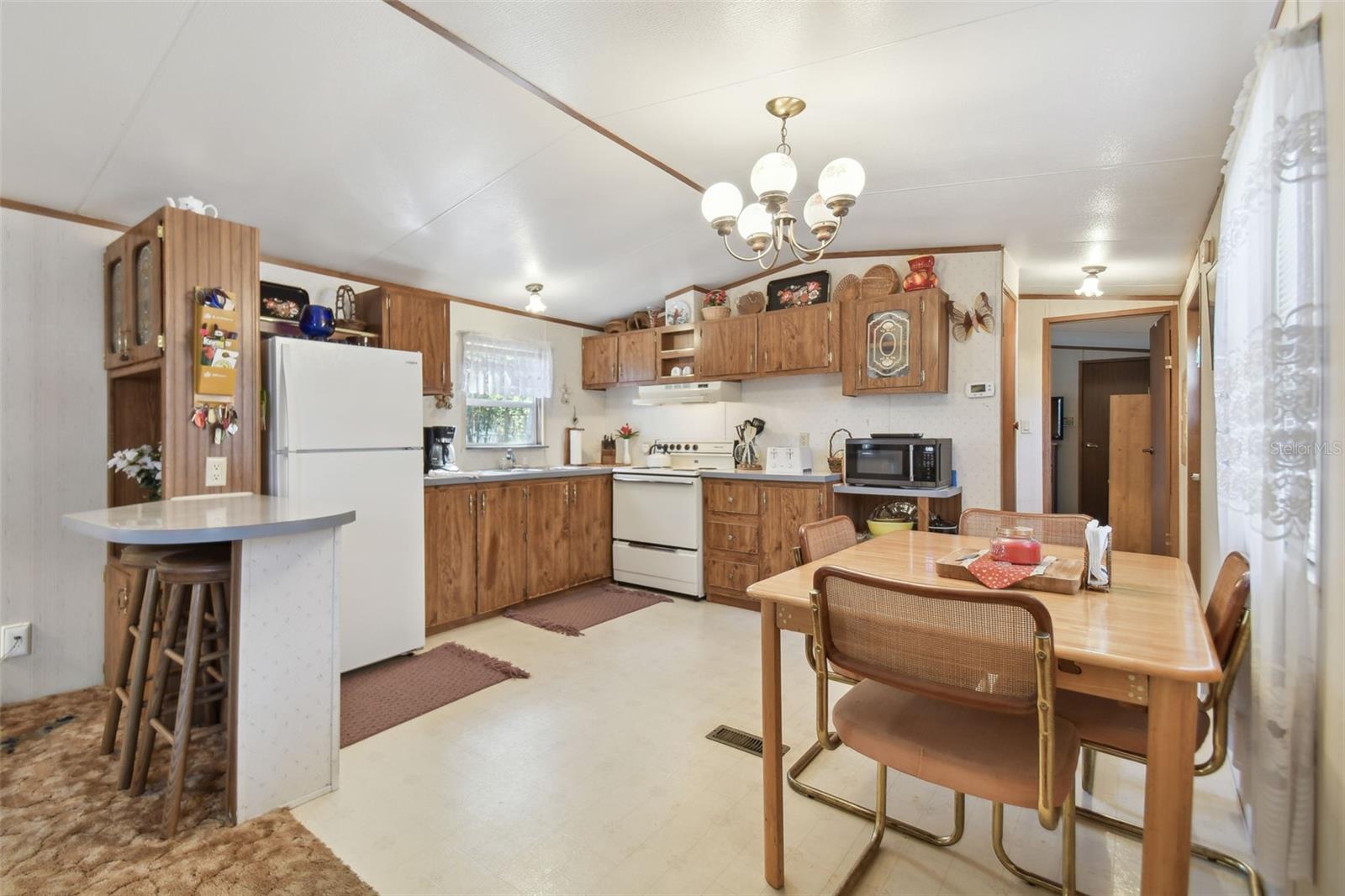 34876 MAJOR DADE DR, DADE CITY, FL, 33523