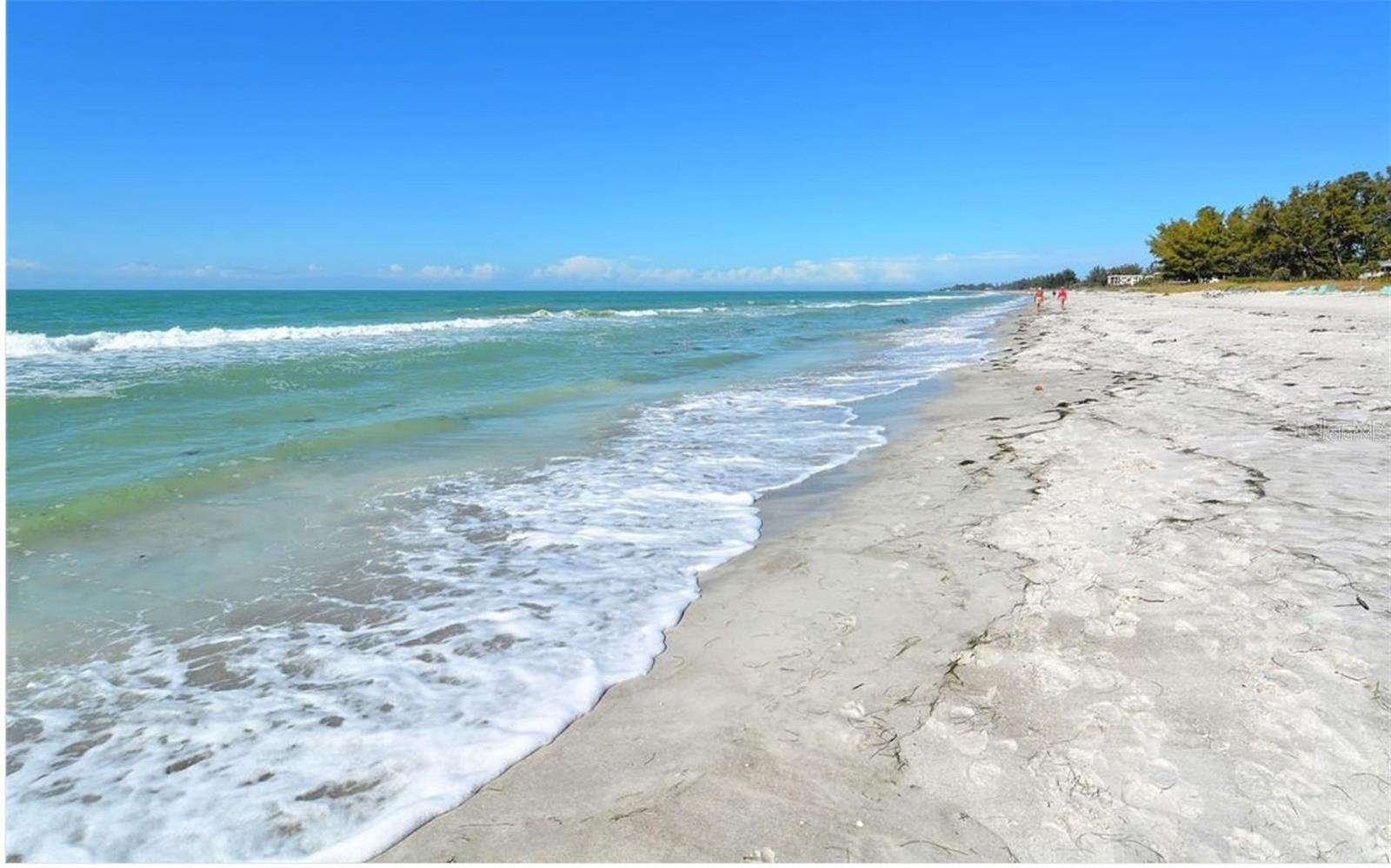 5201 GULF OF MEXICO DR #103, LONGBOAT KEY, FL, 34228