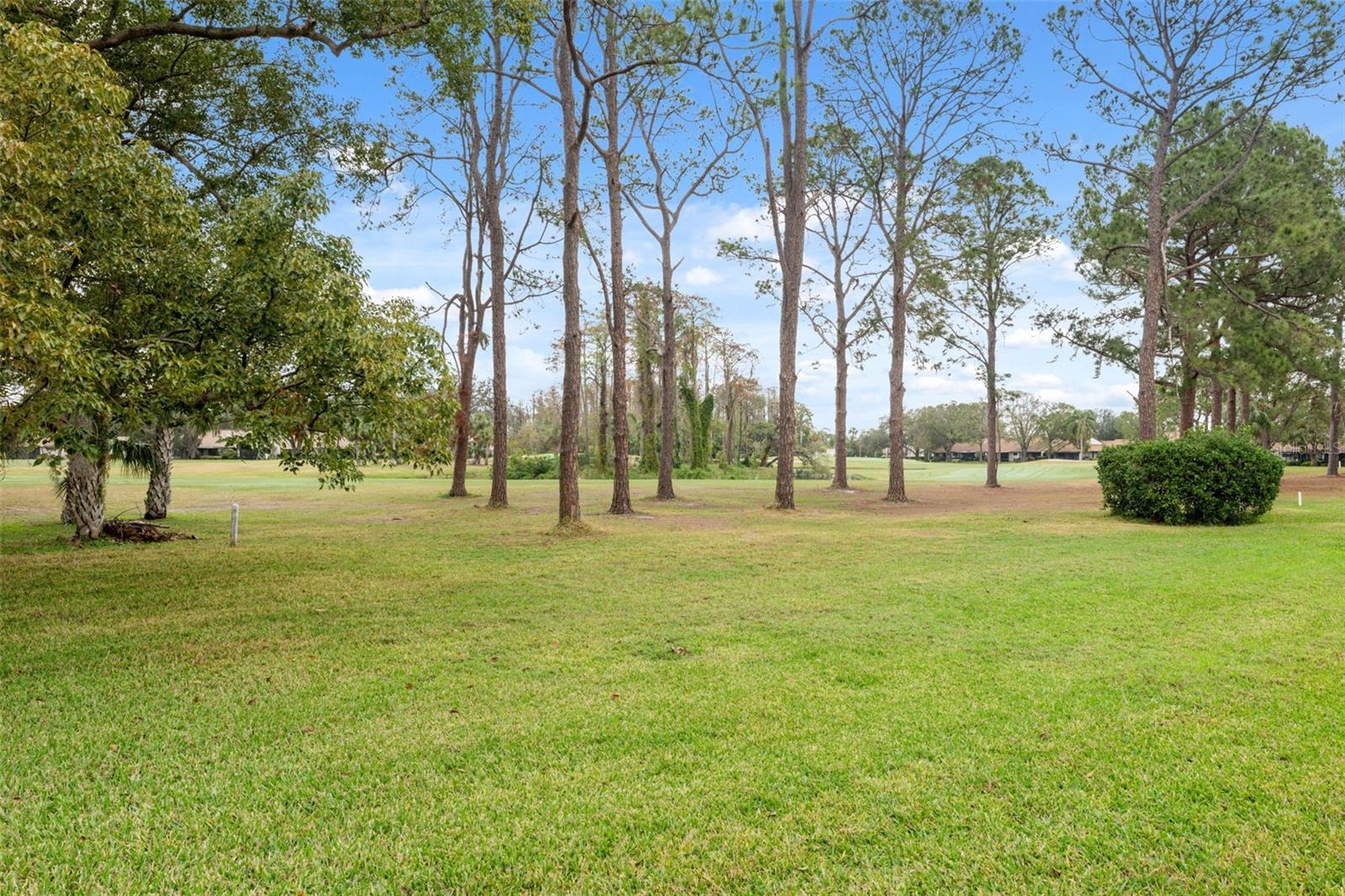 3309 LORI LN, NEW PORT RICHEY, FL, 34655