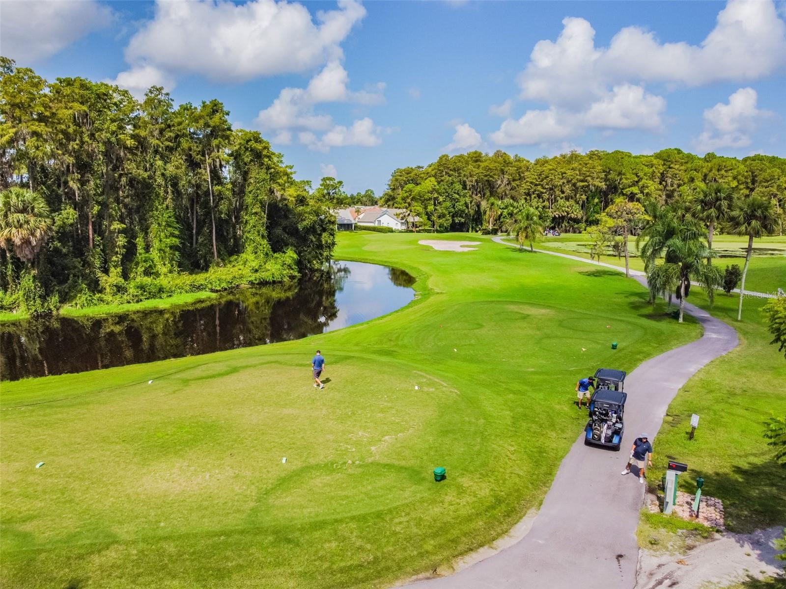3309 LORI LN, NEW PORT RICHEY, FL, 34655