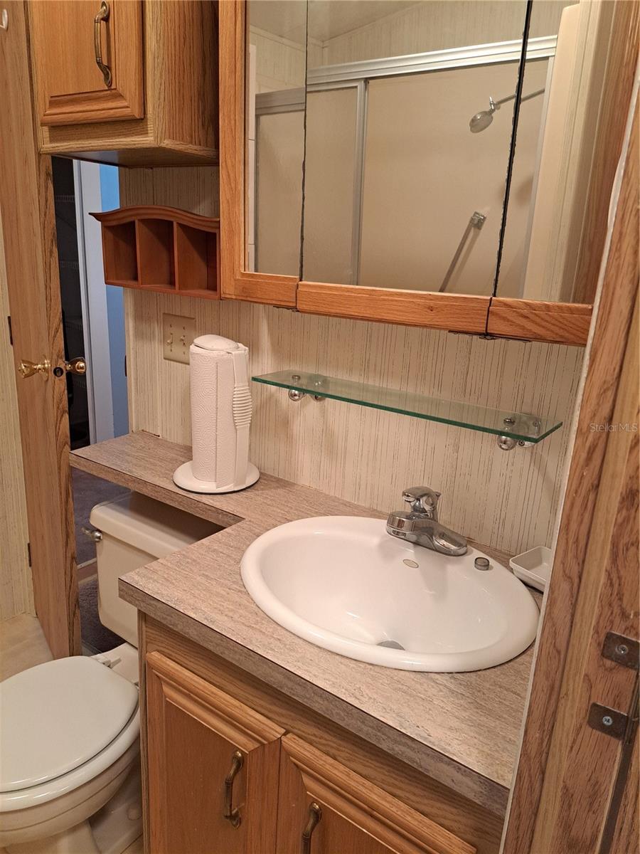 244 GOLF CREST LN, DAVENPORT, FL, 33837