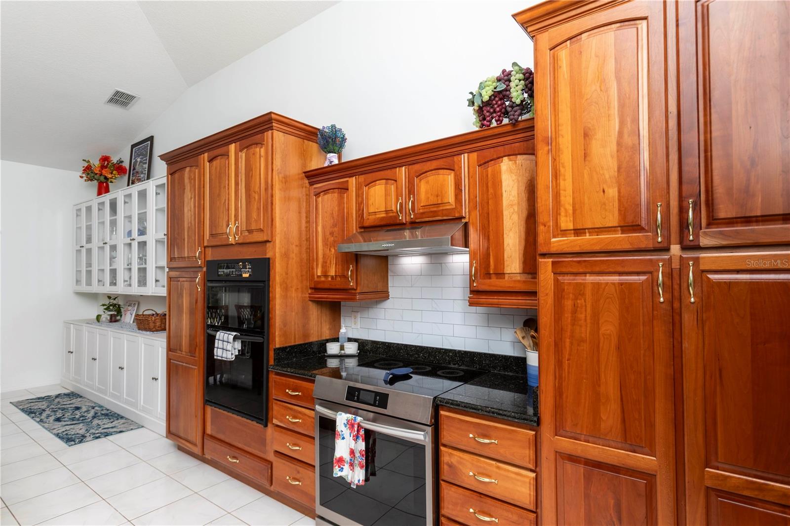 3207 HIBISCUS DR, HERNANDO BEACH, FL, 34607