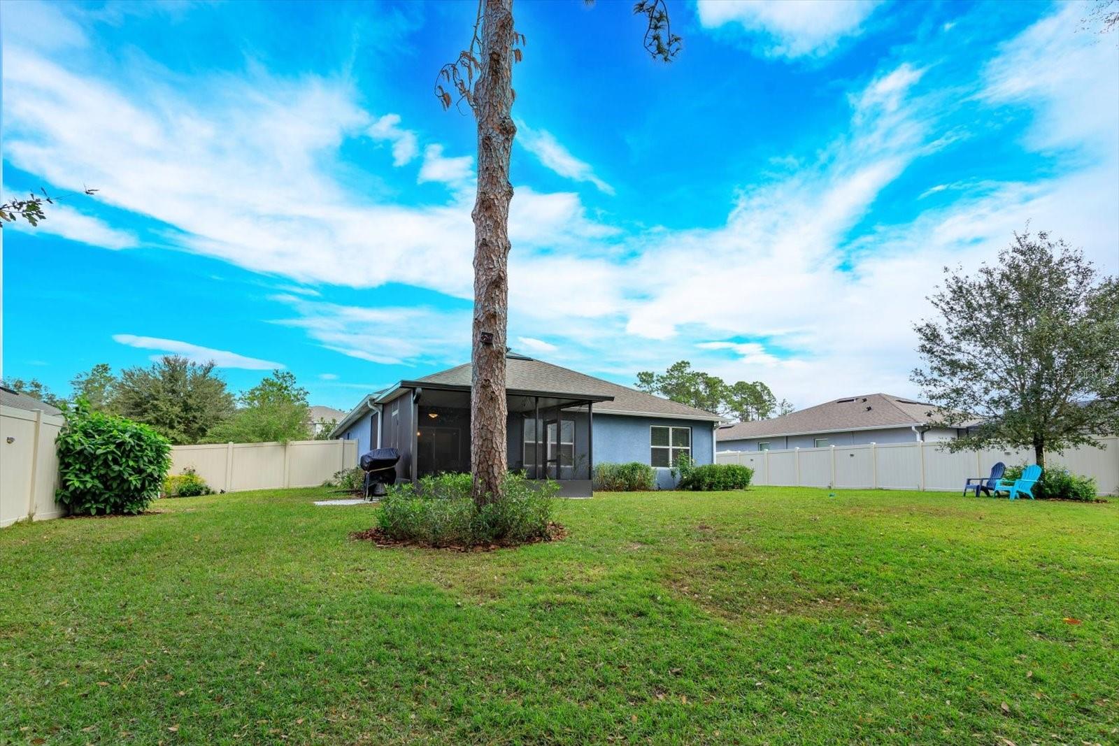 217 WOOD HOLLOW RD, DELAND, FL, 32724