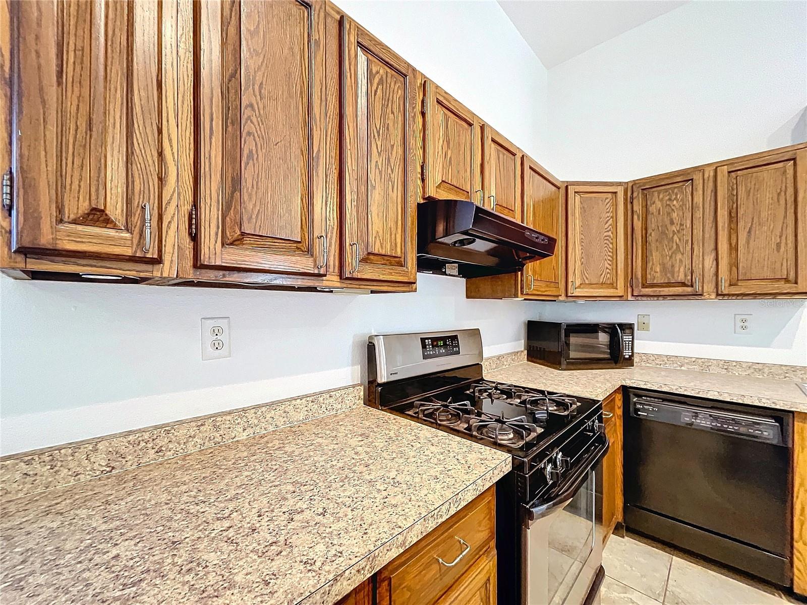 25507 HAYMAN RD, BROOKSVILLE, FL, 34602