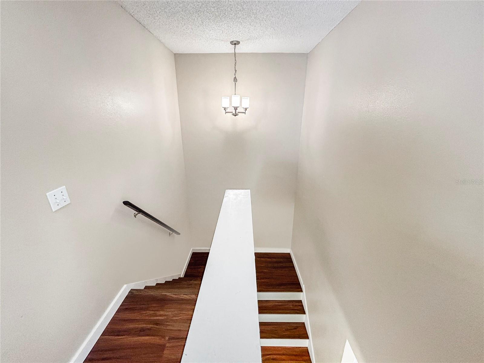 8715 MORRISON OAKS CT, TEMPLE TERRACE, FL, 33637