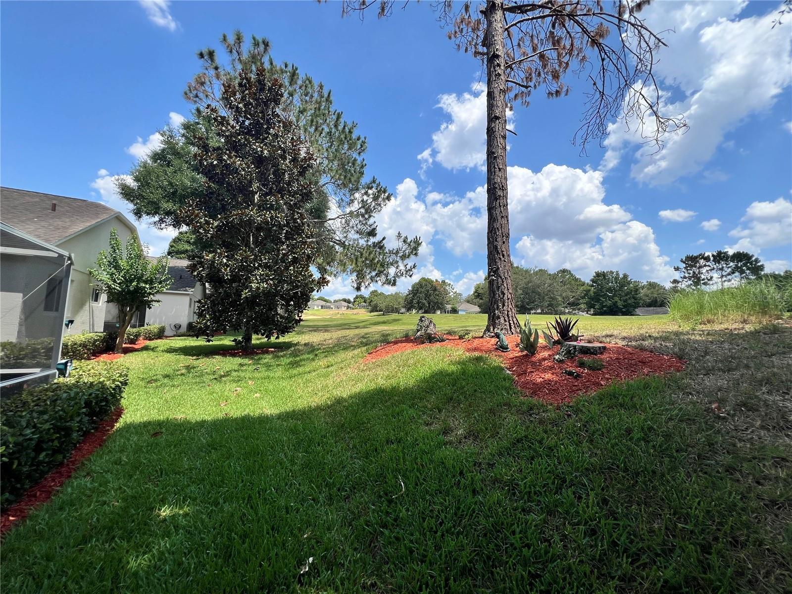 4174 CAPLAND AVE, CLERMONT, FL, 34711