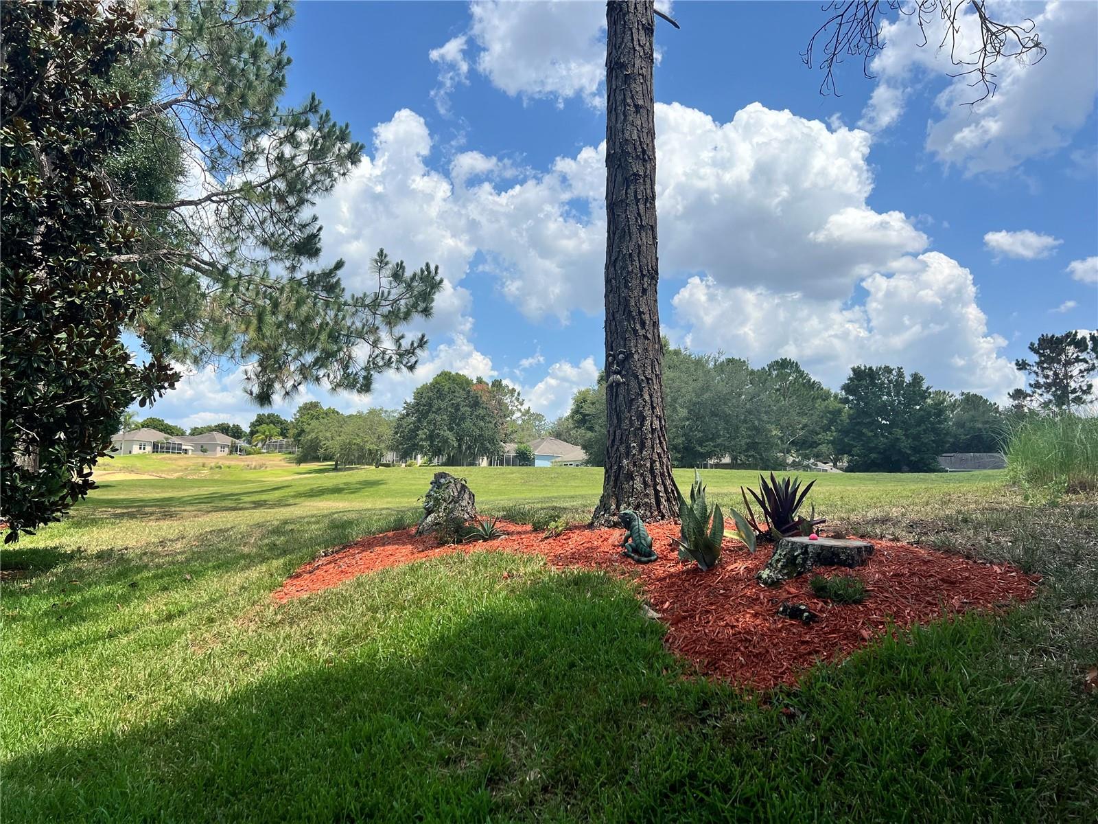 4174 CAPLAND AVE, CLERMONT, FL, 34711