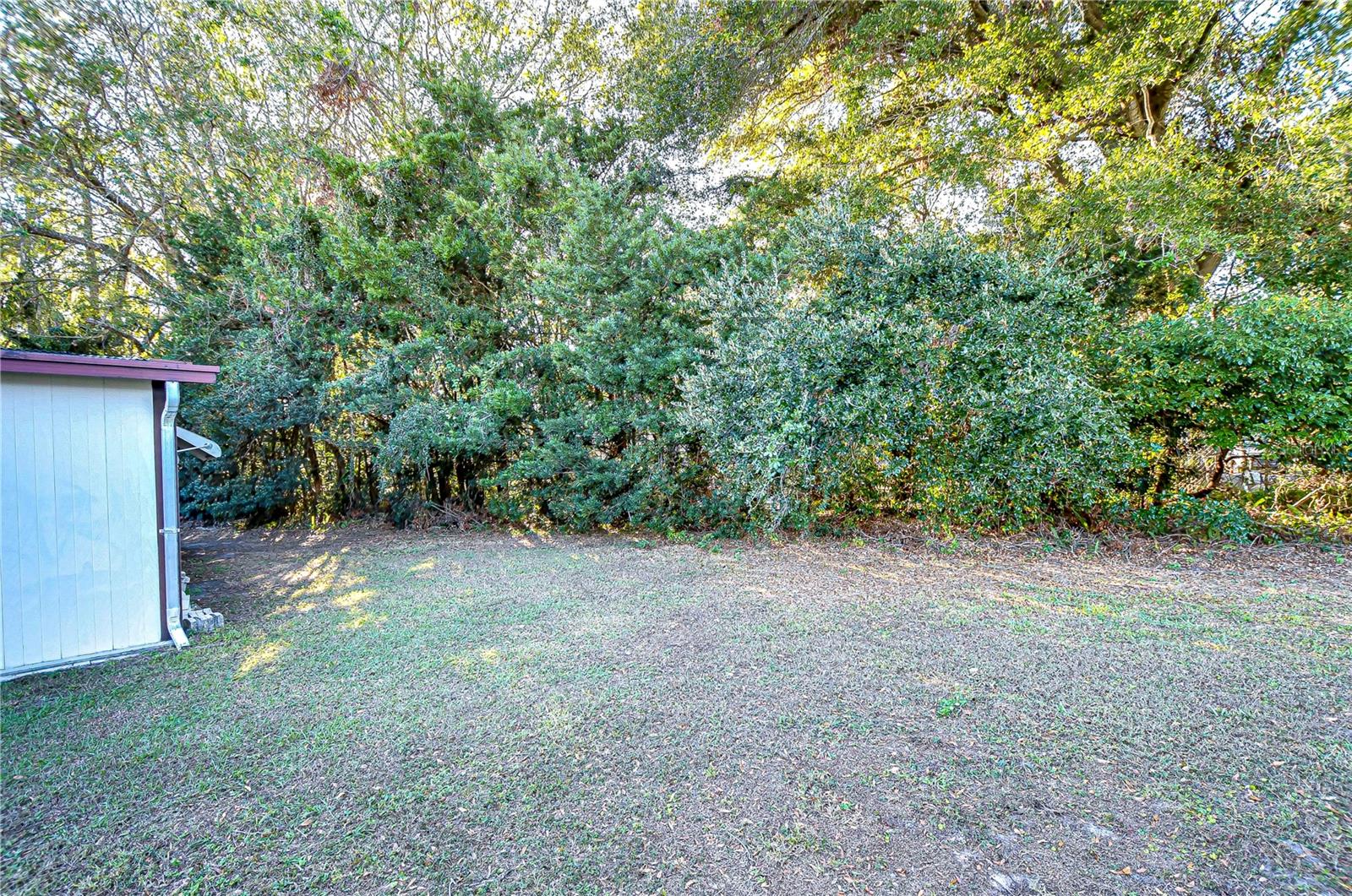 39351 DUNDEE RD, ZEPHYRHILLS, FL, 33542