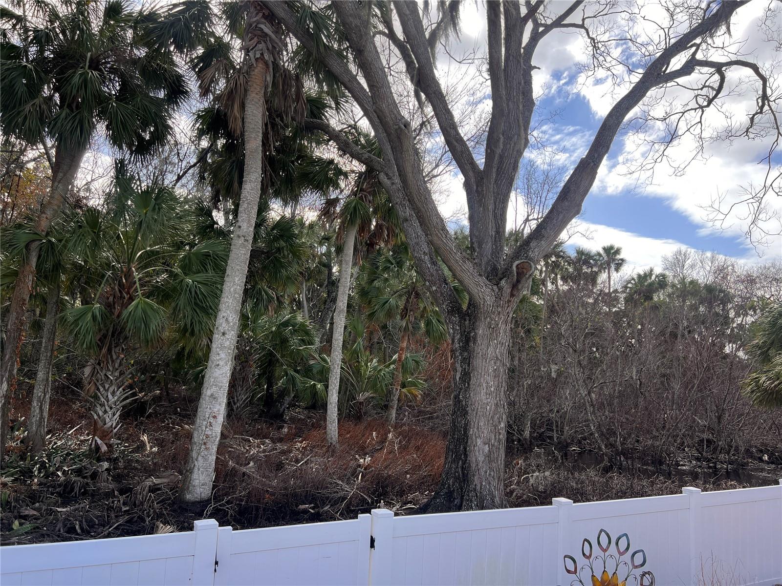 4848 SHELL STREAM BLVD, NEW PORT RICHEY, FL, 34652