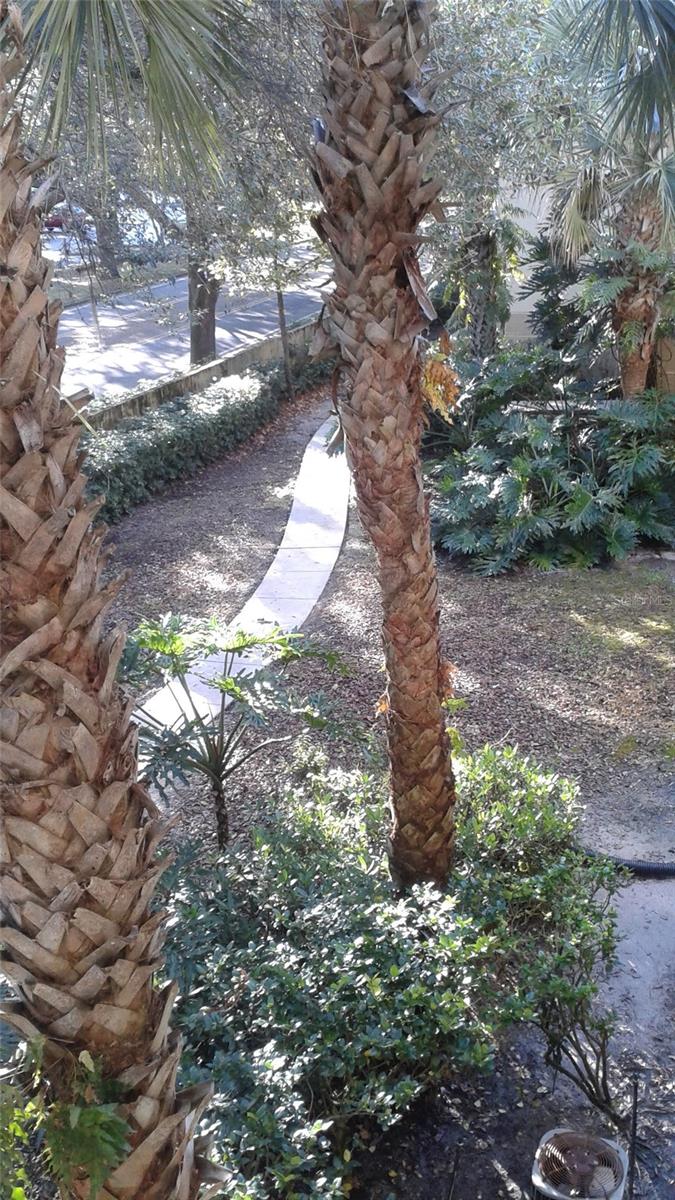 829 CAMARGO WAY #203, ALTAMONTE SPRINGS, FL, 32714