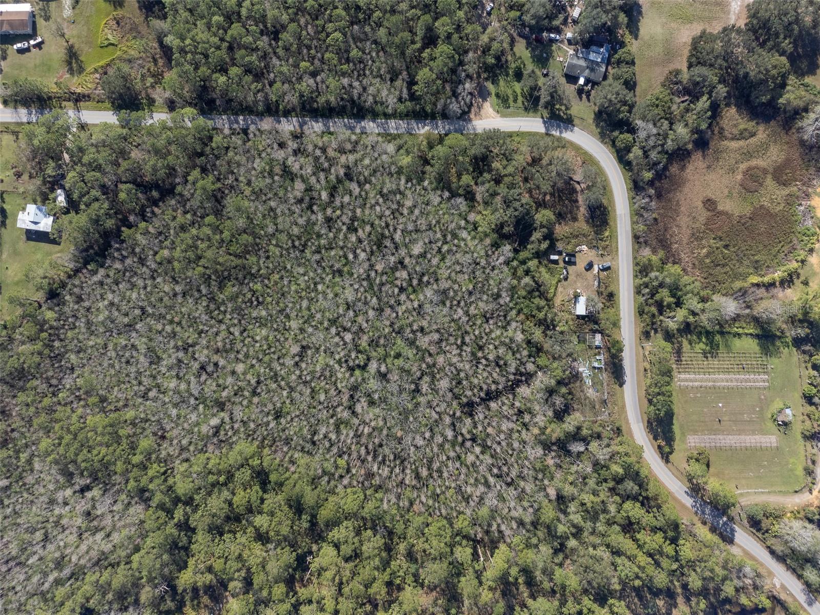 0 FLORIDA BOYS RANCH RD, CLERMONT, FL, 34711