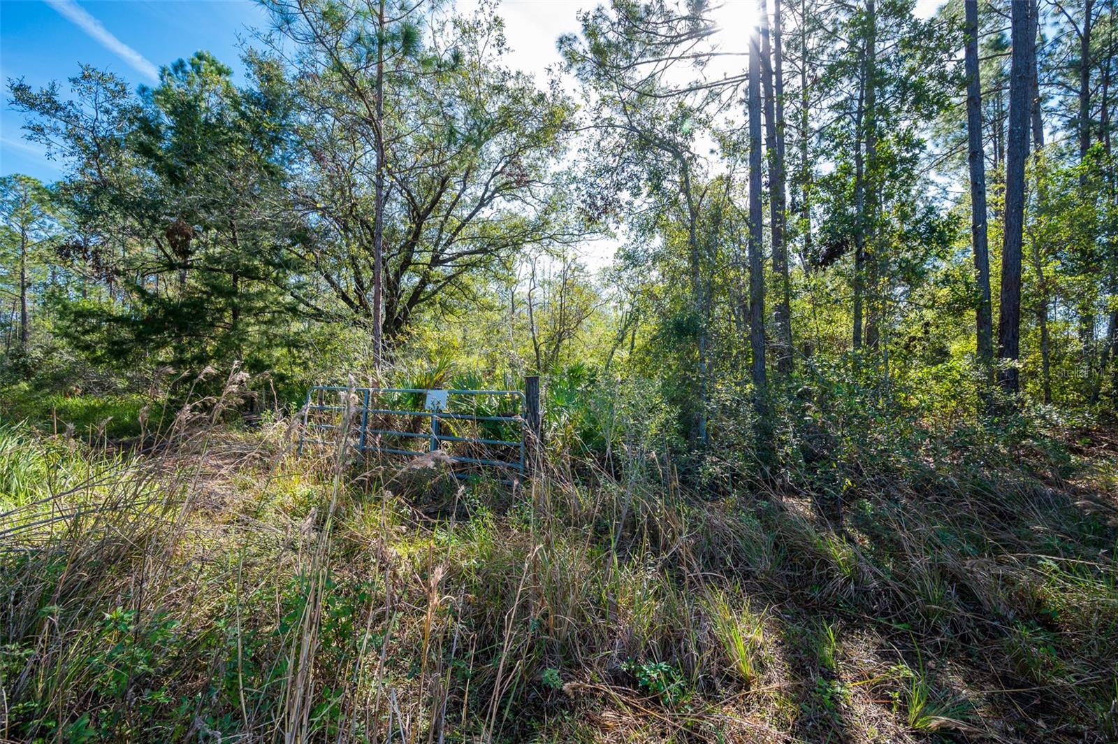 0 FLORIDA BOYS RANCH RD, CLERMONT, FL, 34711