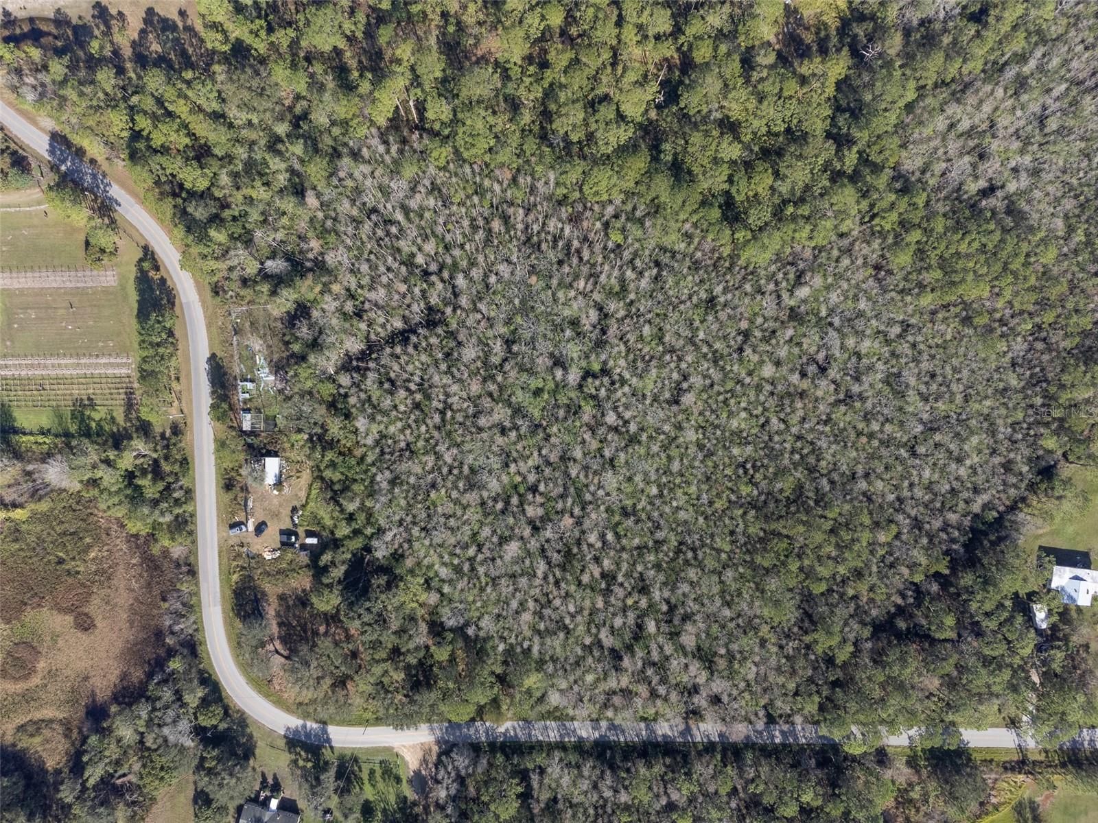 0 FLORIDA BOYS RANCH RD, CLERMONT, FL, 34711