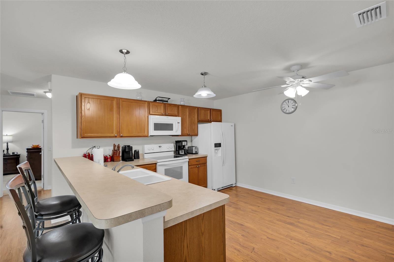 2534 BAYPORT PL, THE VILLAGES, FL, 32162
