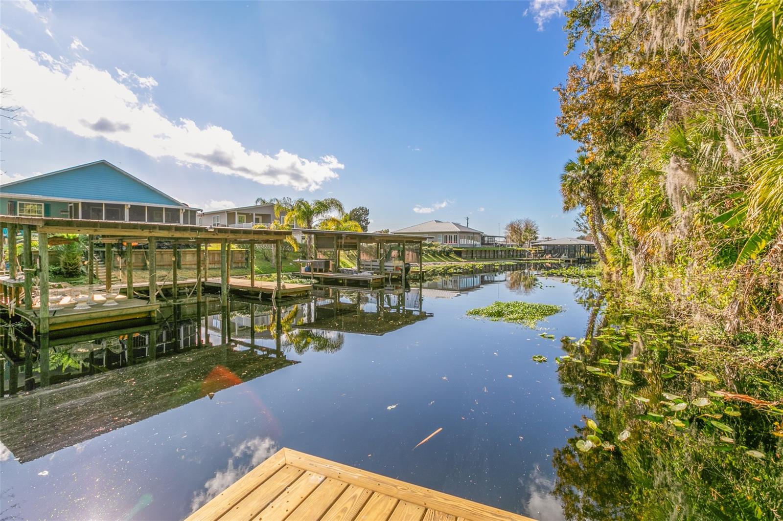 115 EASEMENT LN, WELAKA, FL, 32193