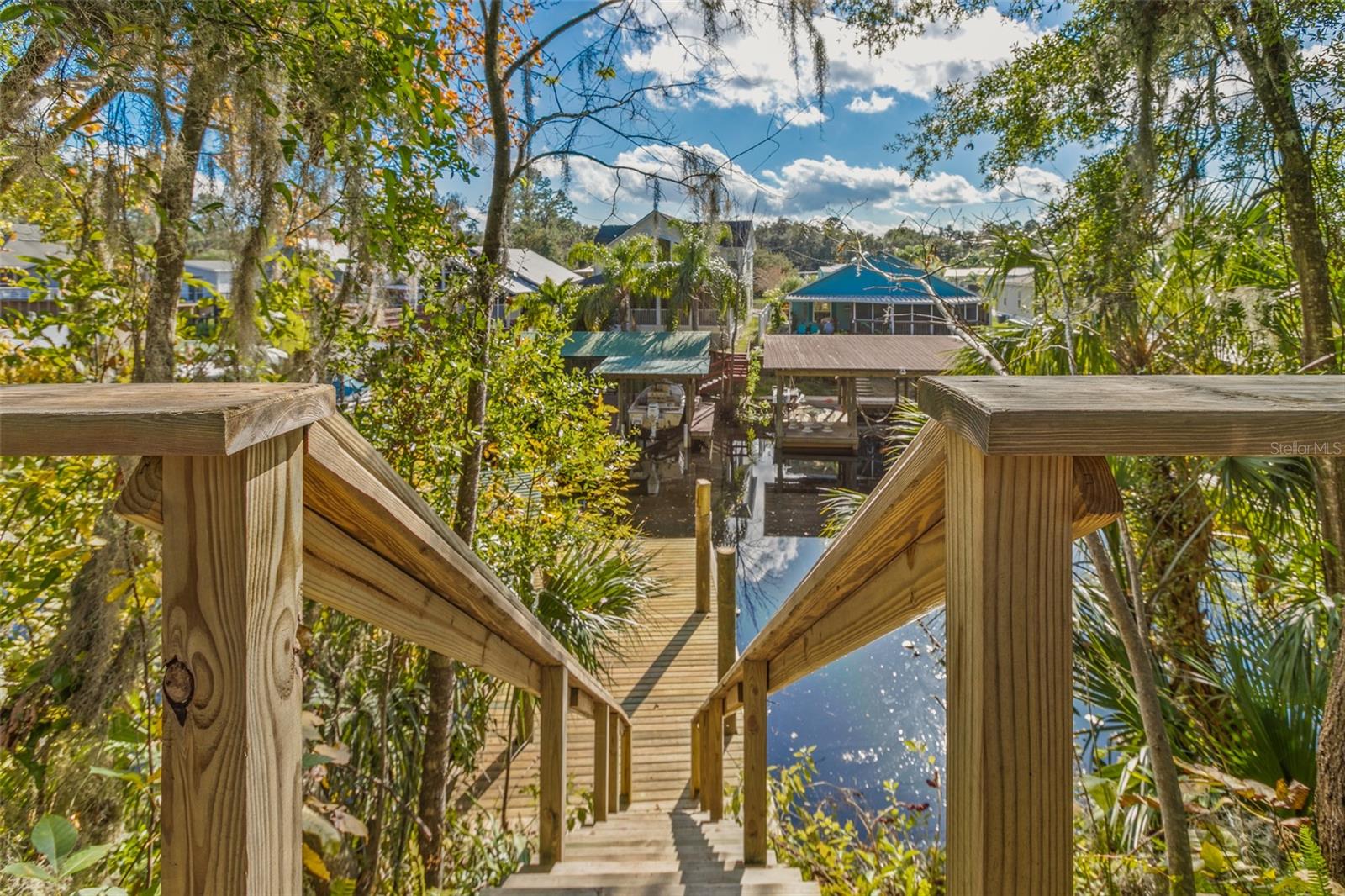 115 EASEMENT LN, WELAKA, FL, 32193