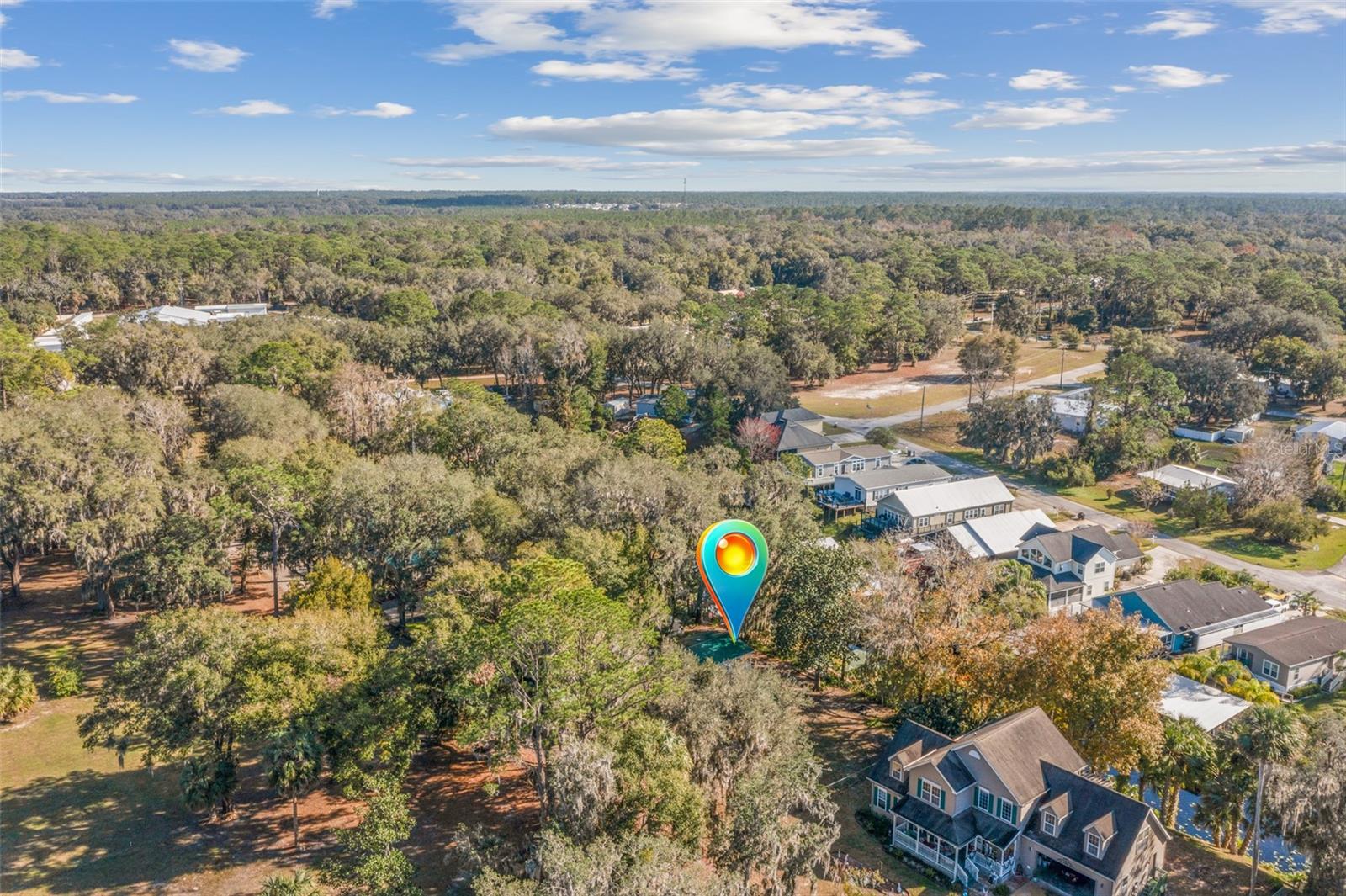 115 EASEMENT LN, WELAKA, FL, 32193