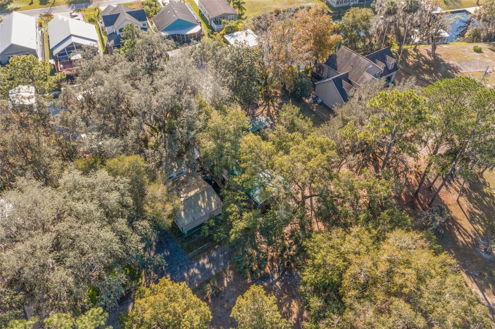 115 EASEMENT LN, WELAKA, FL, 32193