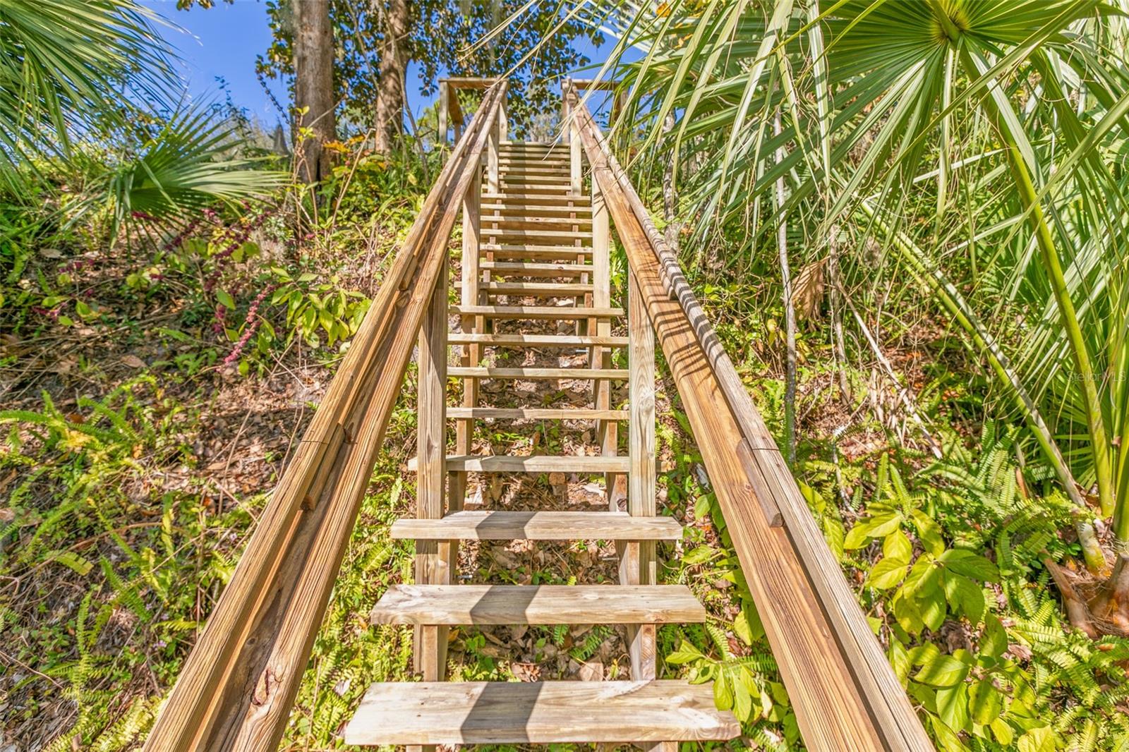 115 EASEMENT LN, WELAKA, FL, 32193