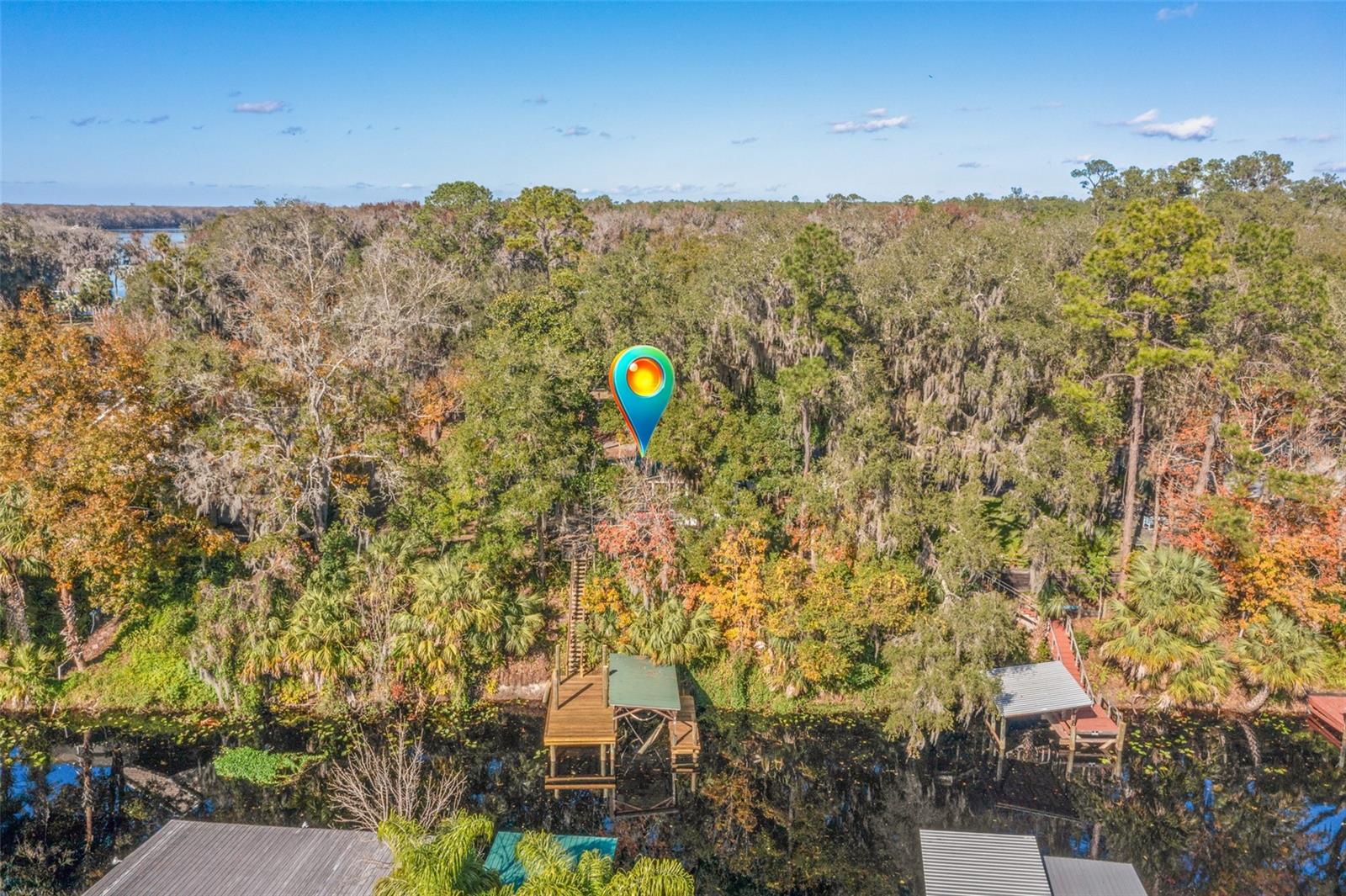 115 EASEMENT LN, WELAKA, FL, 32193