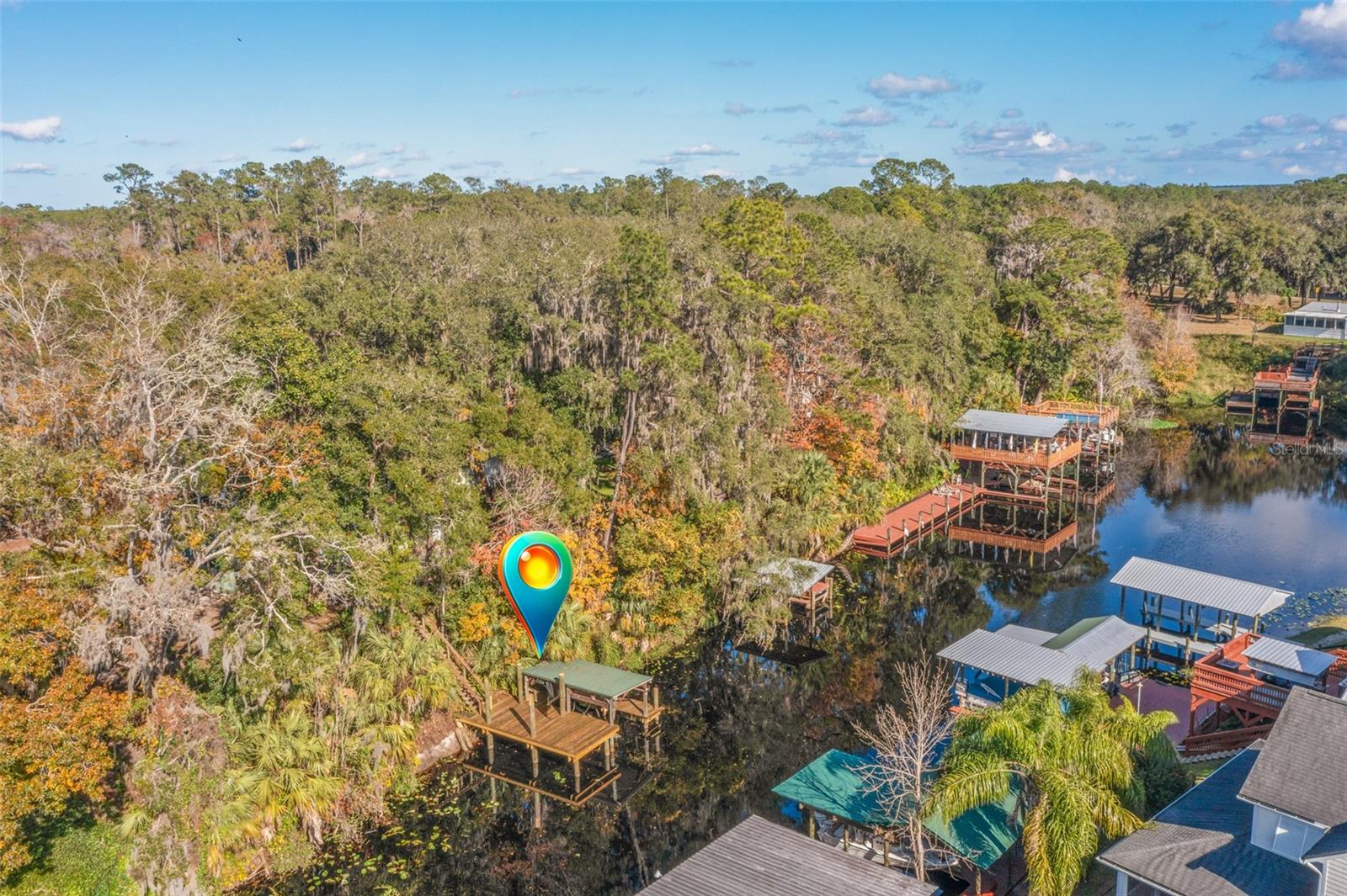 115 EASEMENT LN, WELAKA, FL, 32193