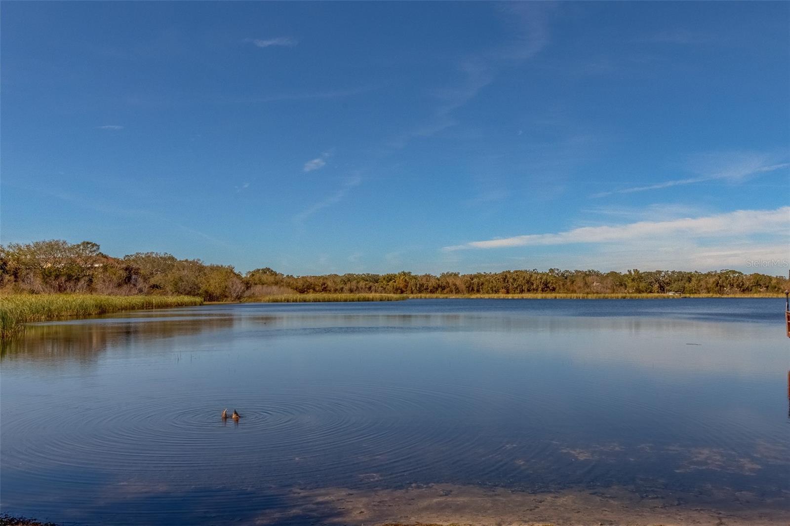 2035 NASH DR, CLEARWATER, FL, 33763