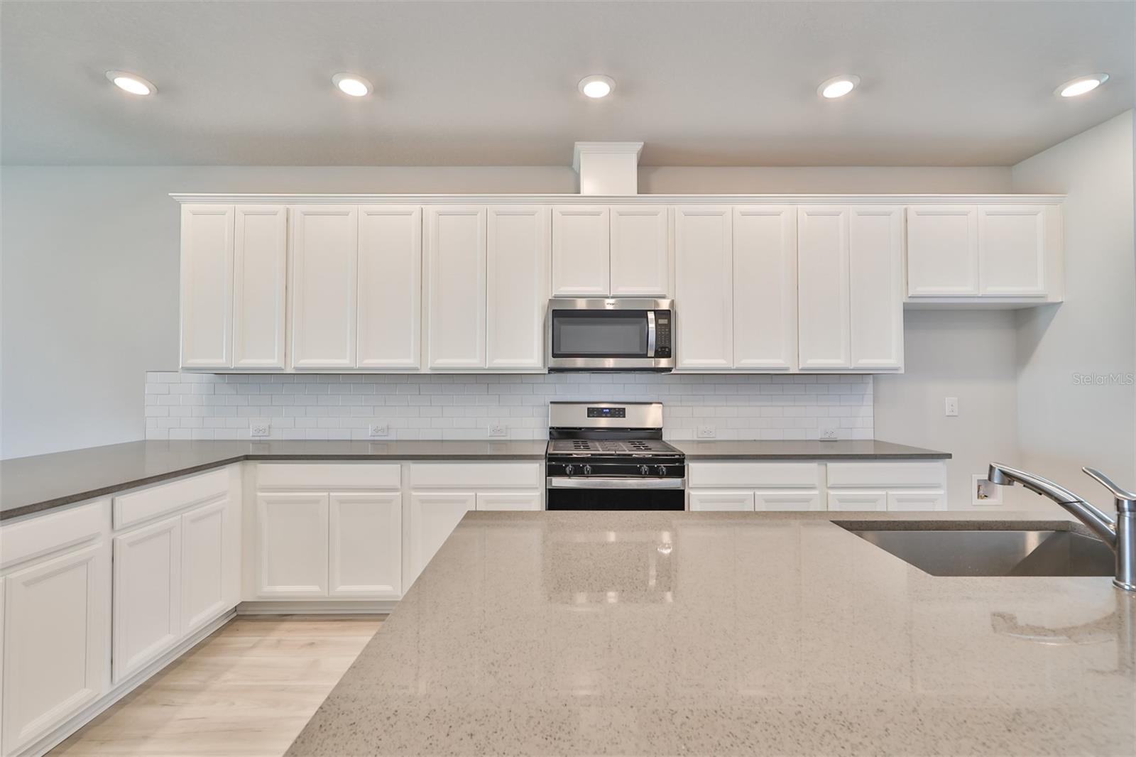 6042 GOLDEN NETTLE DR, APOLLO BEACH, FL, 33572