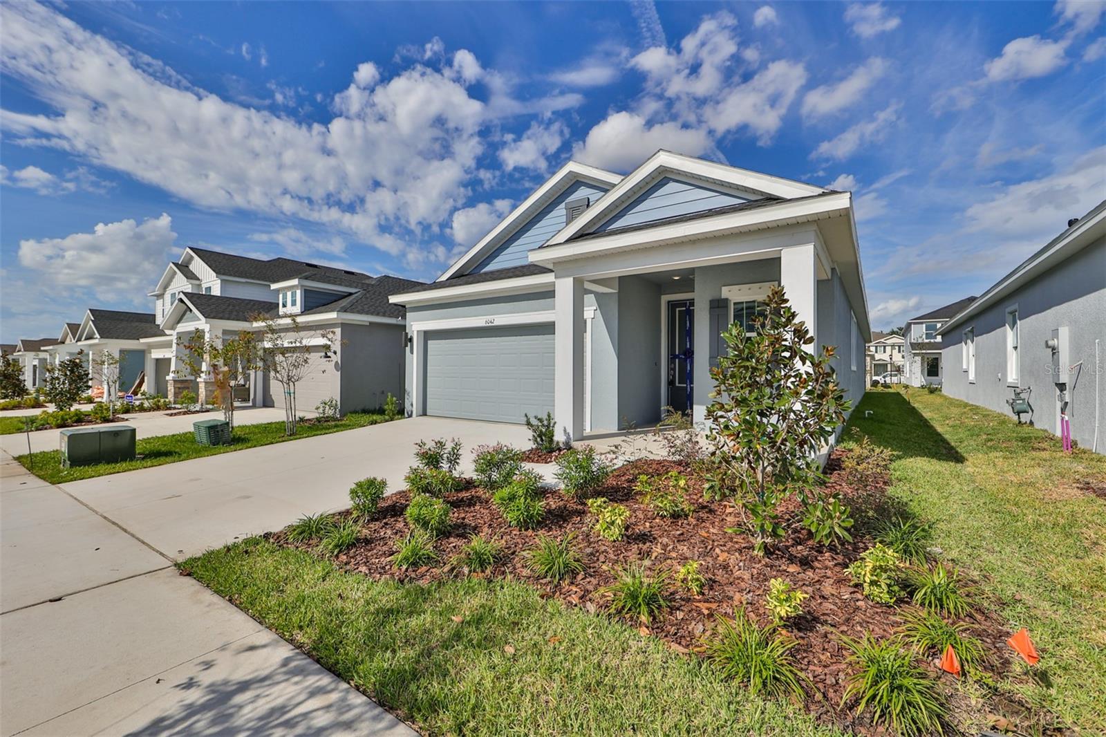 6042 GOLDEN NETTLE DR, APOLLO BEACH, FL, 33572