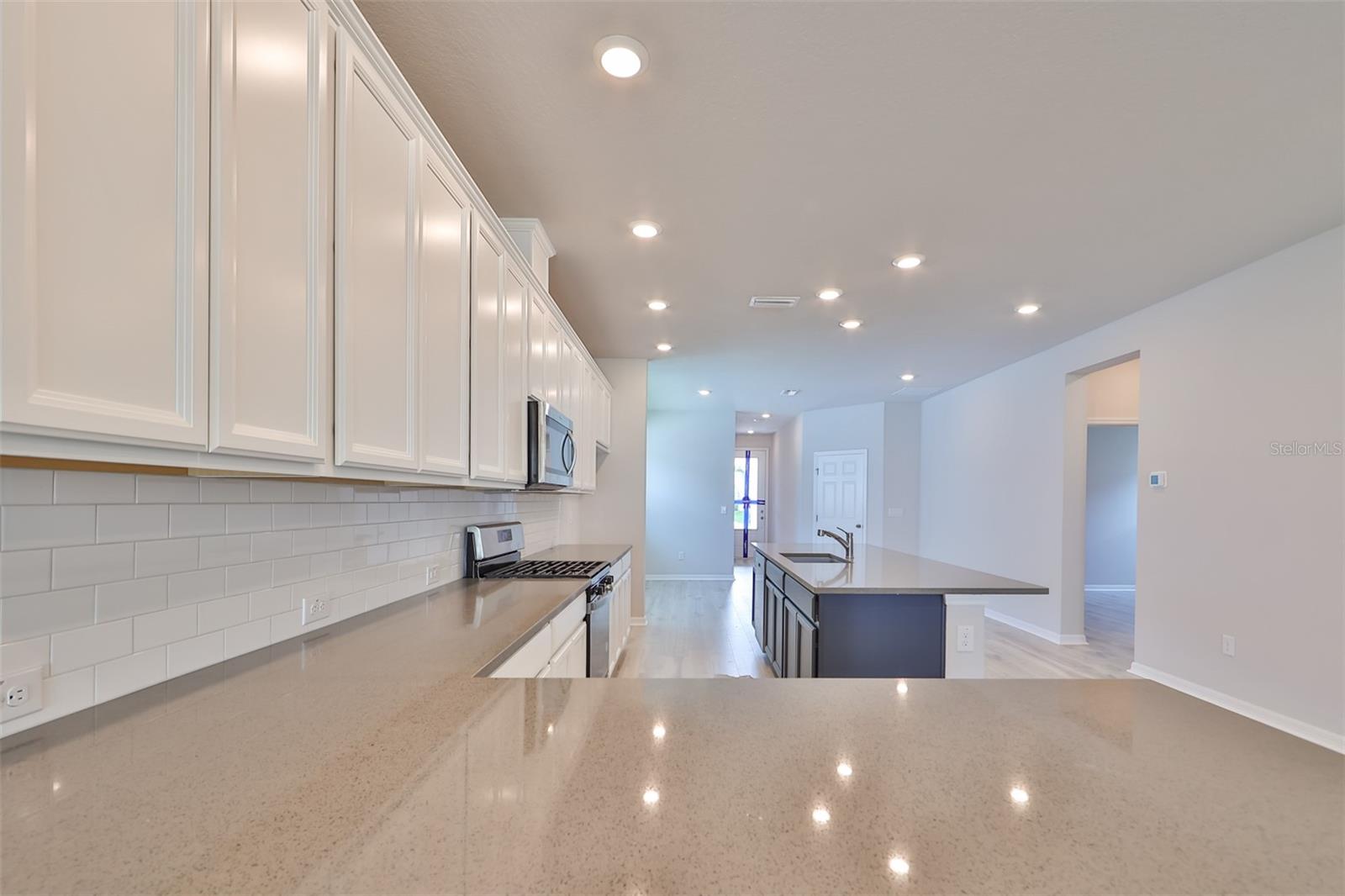 6042 GOLDEN NETTLE DR, APOLLO BEACH, FL, 33572