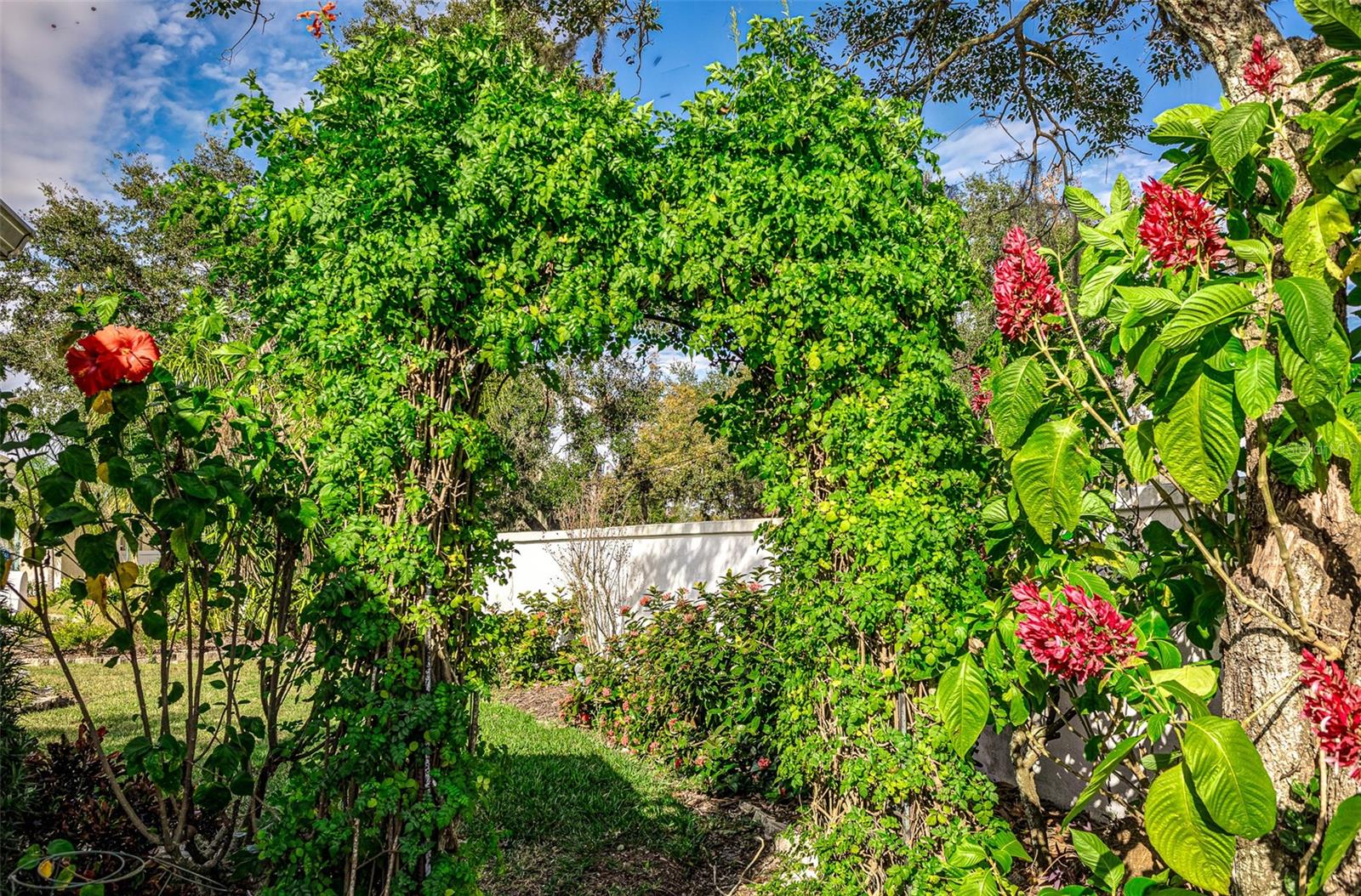 805 SUSAN PL, BARTOW, FL, 33830