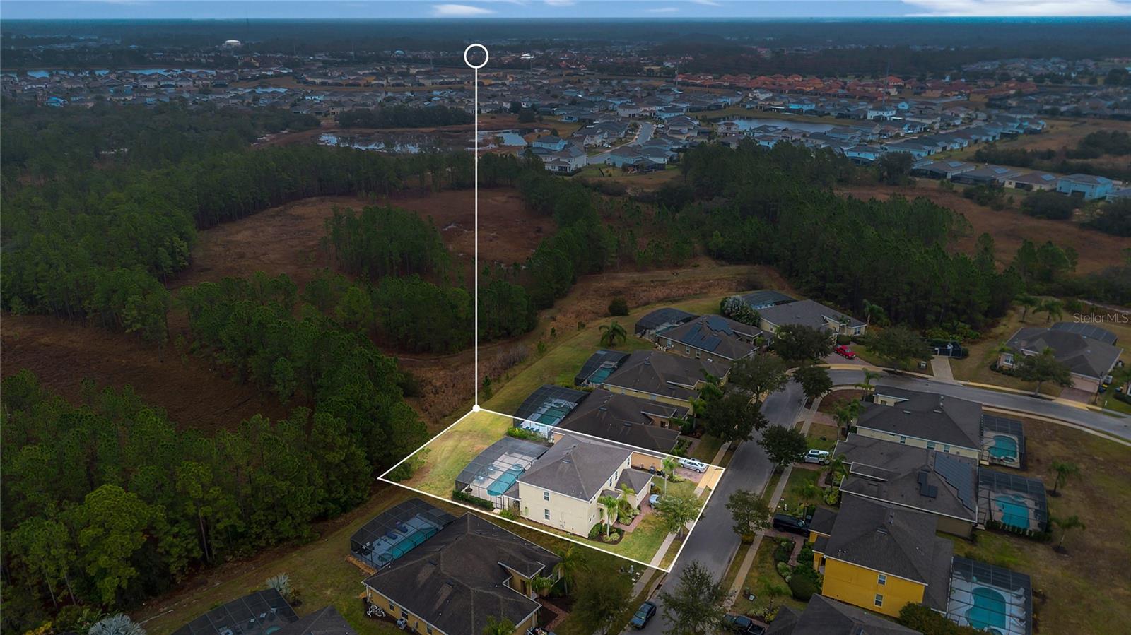 256 YELLOW SNAPDRAGON DR, DAVENPORT, FL, 33837