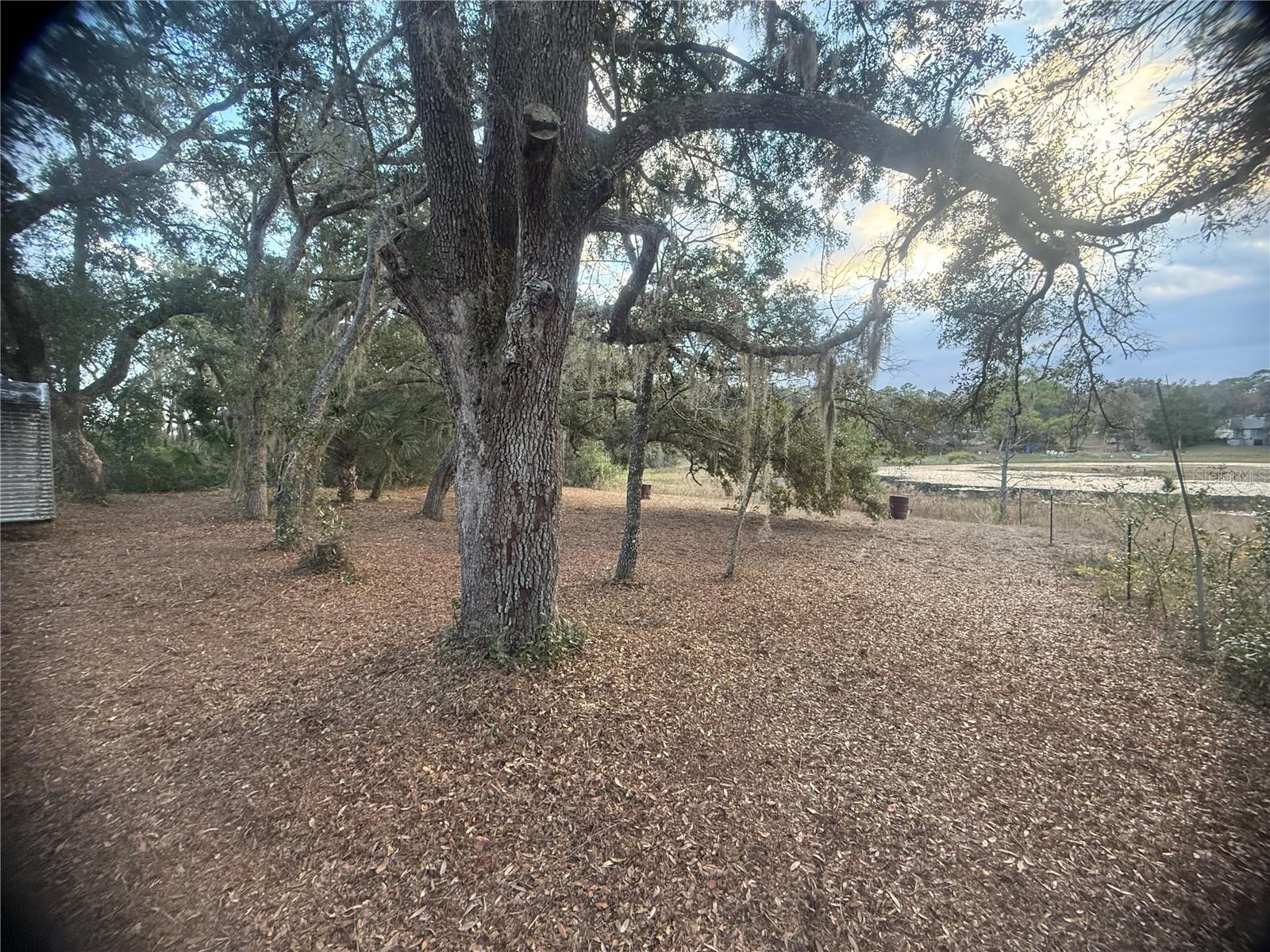 16434 SE 3RD ST, SILVER SPRINGS, FL, 34488
