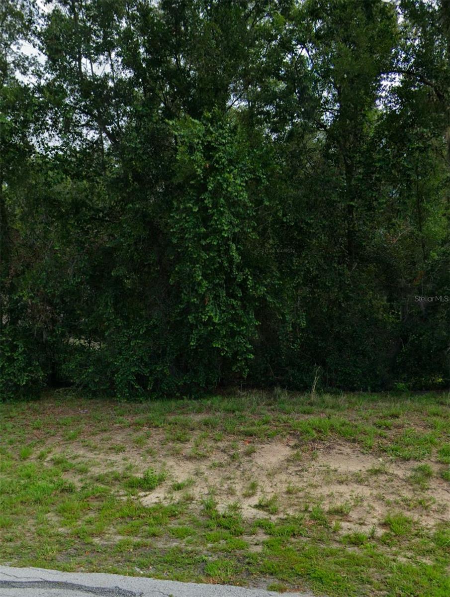 2892 N APPLEDORE PATH, INVERNESS, FL, 34452