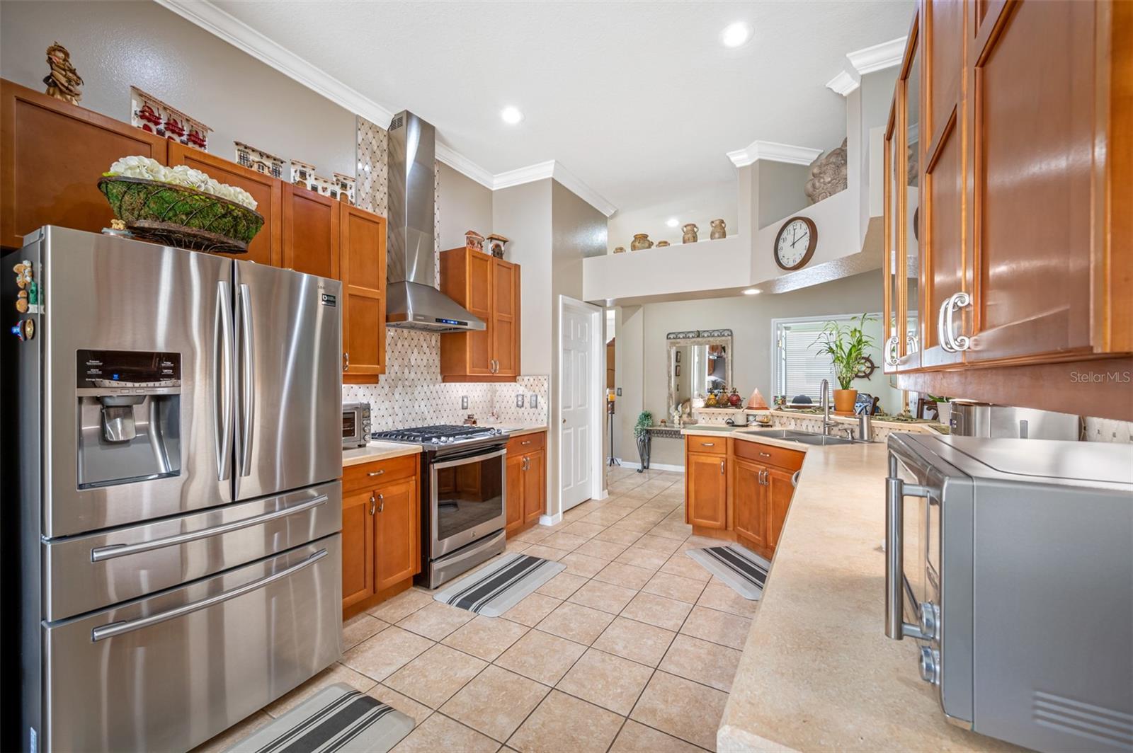 30543 LANESBOROUGH CIR, WESLEY CHAPEL, FL, 33543