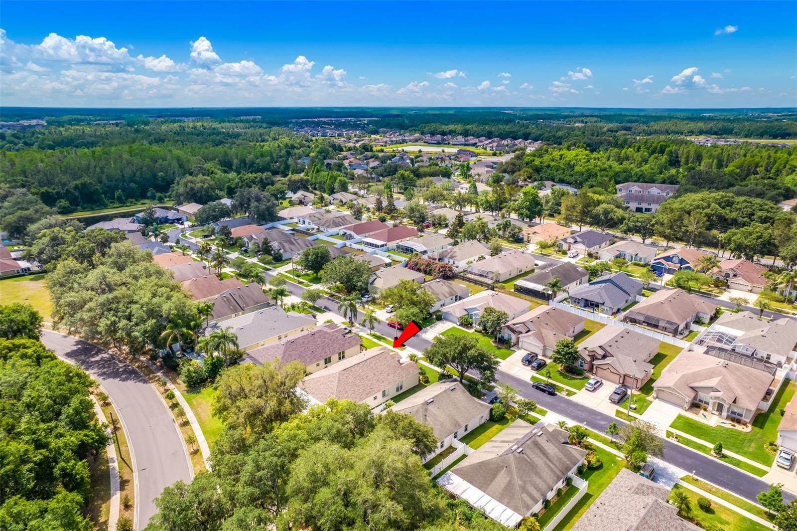 30543 LANESBOROUGH CIR, WESLEY CHAPEL, FL, 33543
