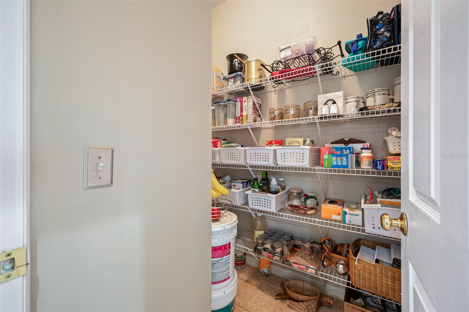 30543 LANESBOROUGH CIR, WESLEY CHAPEL, FL, 33543