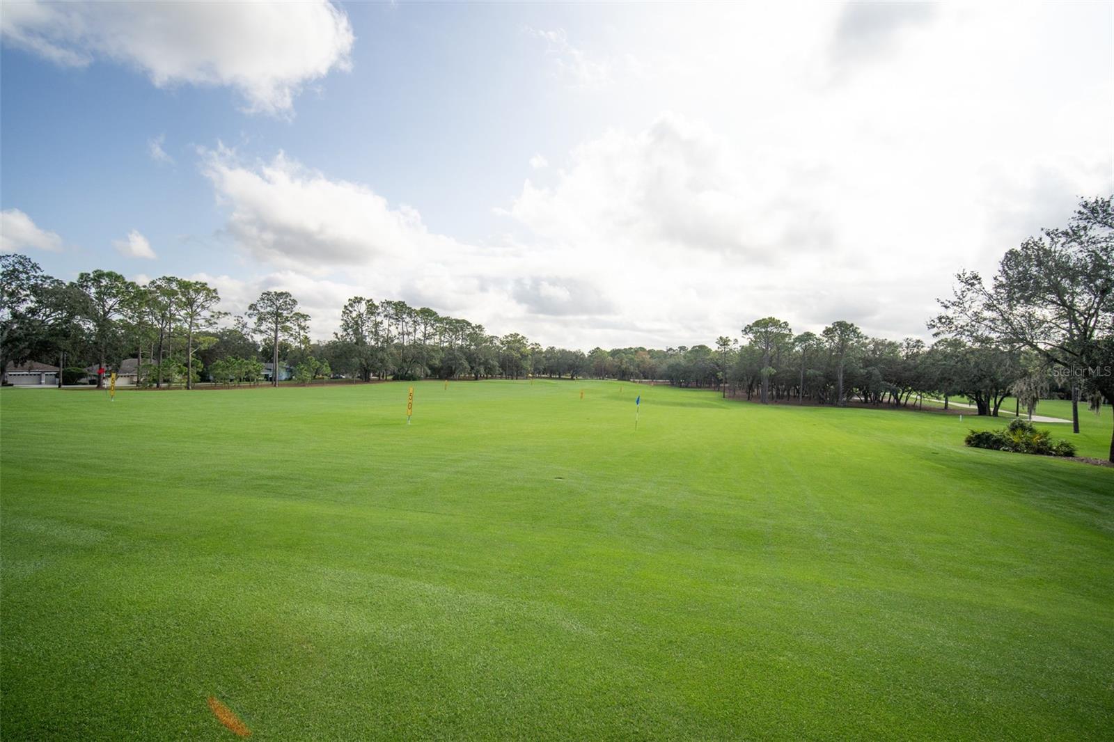 8015 WILLOW BROOK DR, SPRING HILL, FL, 34606