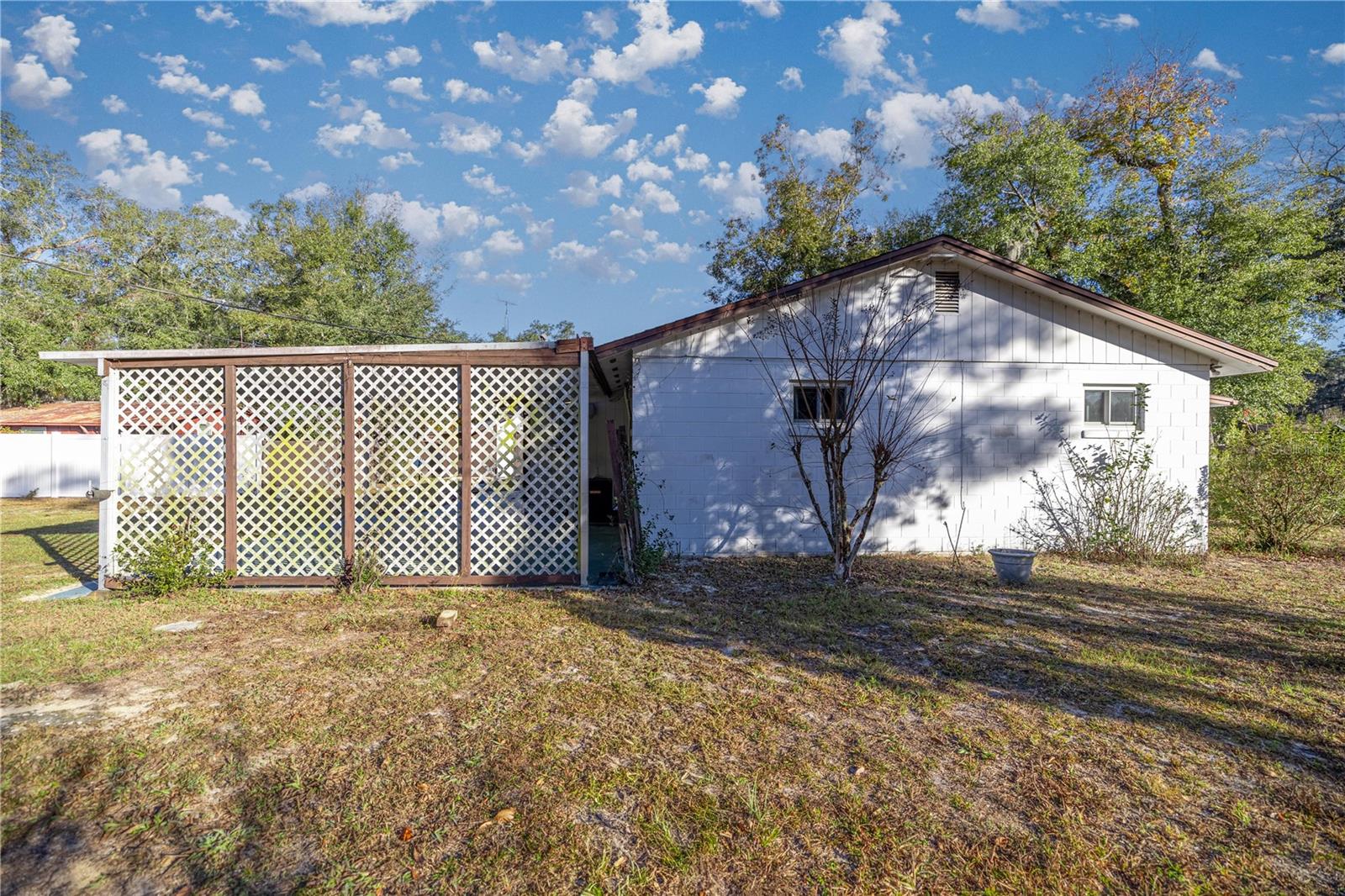 11360 SE 188TH AVE, OCKLAWAHA, FL, 32179
