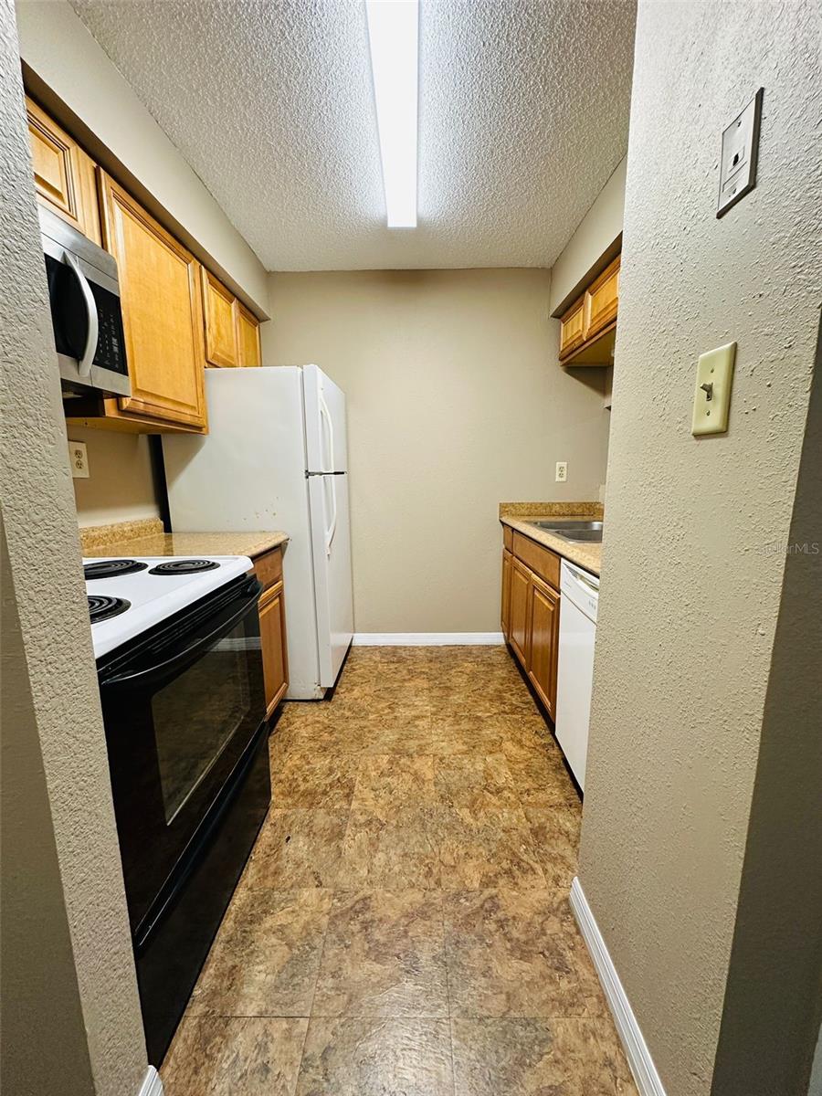 14217 SHADOW MOSS LANE LN #102, TAMPA, FL, 33613