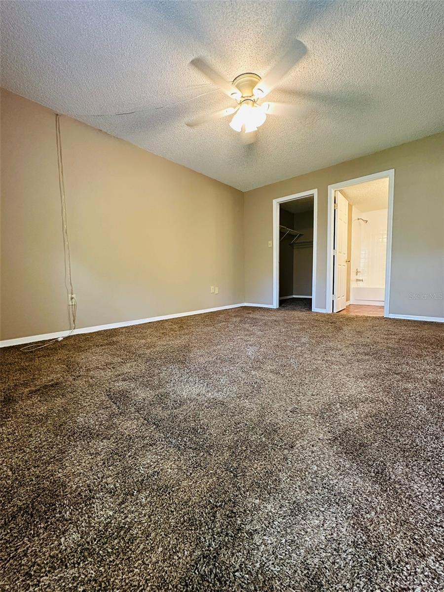 14217 SHADOW MOSS LANE LN #102, TAMPA, FL, 33613